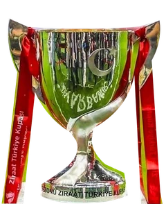 Coupe de Turquie
